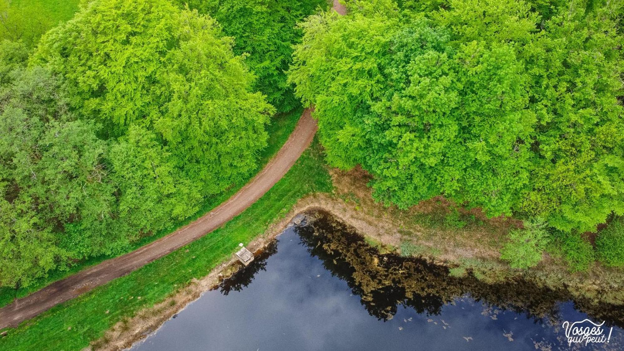 Villa Des Capucins Luxeuil-les-Bains Buitenkant foto